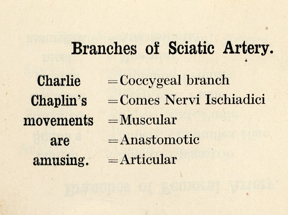 Page in a 1920s text_Mnemonics of anatomy